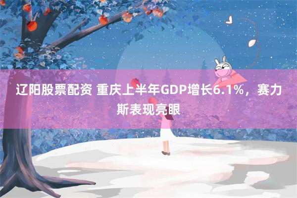 辽阳股票配资 重庆上半年GDP增长6.1%，赛力斯表现亮眼