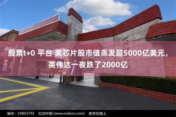 股票t+0 平台 美芯片股市值蒸发超5000亿美元，英伟达一夜跌了2000亿