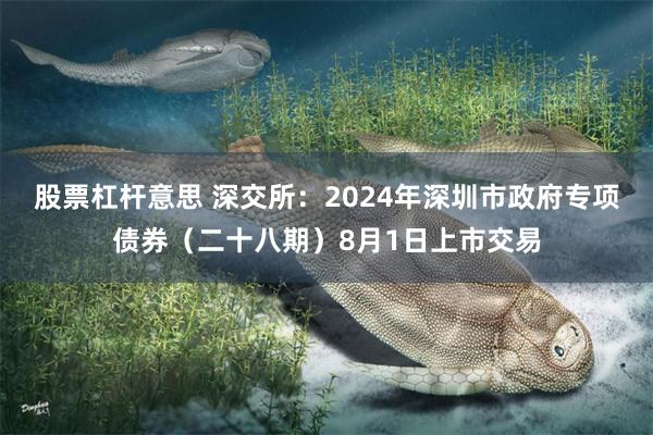 股票杠杆意思 深交所：2024年深圳市政府专项债券（二十八期）8月1日上市交易