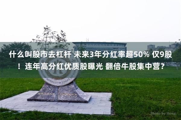 什么叫股市去杠杆 未来3年分红率超50% 仅9股！连年高分红优质股曝光 翻倍牛股集中营？