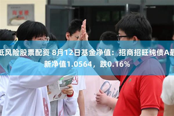 低风险股票配资 8月12日基金净值：招商招旺纯债A最新净值1.0564，跌0.16%