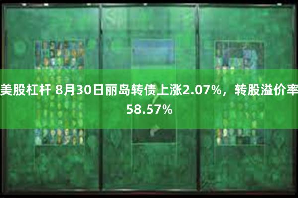 美股杠杆 8月30日丽岛转债上涨2.07%，转股溢价率58.57%