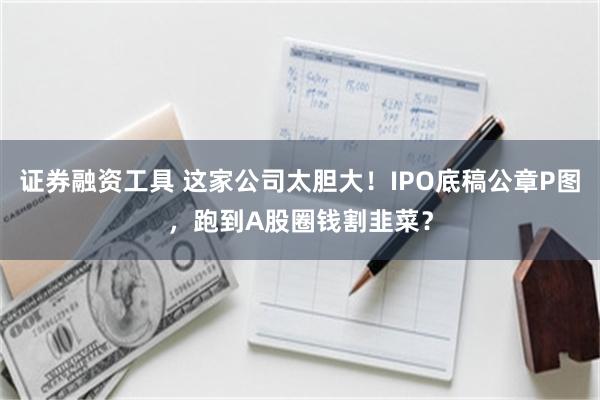 证券融资工具 这家公司太胆大！IPO底稿公章P图，跑到A股圈钱割韭菜？