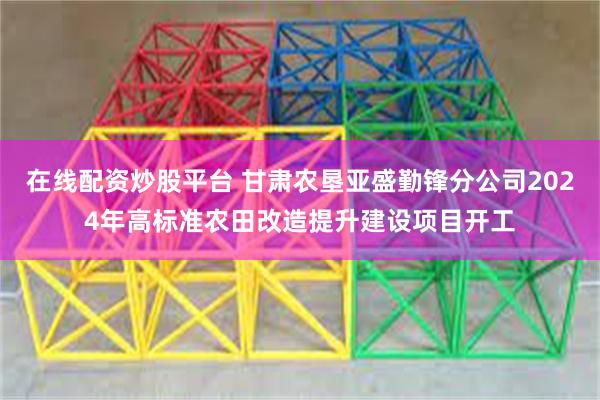 在线配资炒股平台 甘肃农垦亚盛勤锋分公司2024年高标准农田改造提升建设项目开工