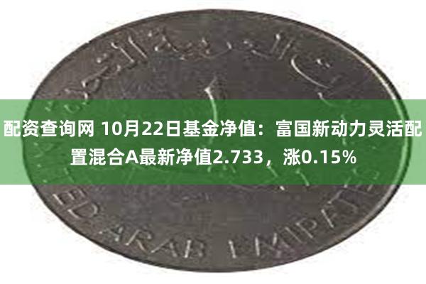 配资查询网 10月22日基金净值：富国新动力灵活配置混合A最新净值2.733，涨0.15%