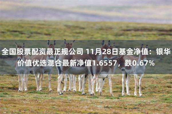 全国股票配资最正规公司 11月28日基金净值：银华价值优选混合最新净值1.6557，跌0.67%