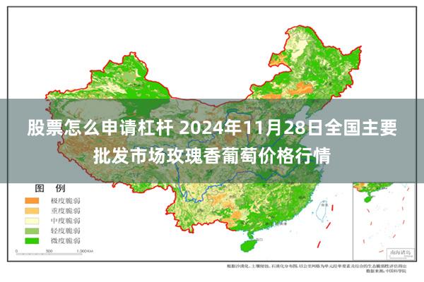 股票怎么申请杠杆 2024年11月28日全国主要批发市场玫瑰香葡萄价格行情