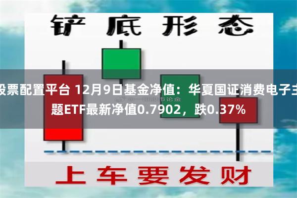 股票配置平台 12月9日基金净值：华夏国证消费电子主题ETF最新净值0.7902，跌0.37%