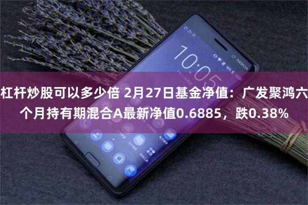 杠杆炒股可以多少倍 2月27日基金净值：广发聚鸿六个月持有期混合A最新净值0.6885，跌0.38%